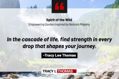 Tracy-Lee-Thomas-2025-Quotes-75