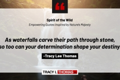 Tracy-Lee-Thomas-2025-Quotes-78