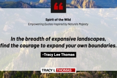 Tracy-Lee-Thomas-2025-Quotes-8