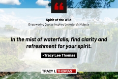 Tracy-Lee-Thomas-2025-Quotes-80