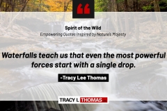 Tracy-Lee-Thomas-2025-Quotes-81