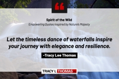 Tracy-Lee-Thomas-2025-Quotes-82
