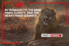 TRACY-THOMAS-Go2-Karate-Rev-Marketing00061