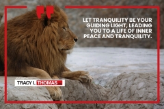 TRACY-THOMAS-Go2-Karate-Rev-Marketing00062